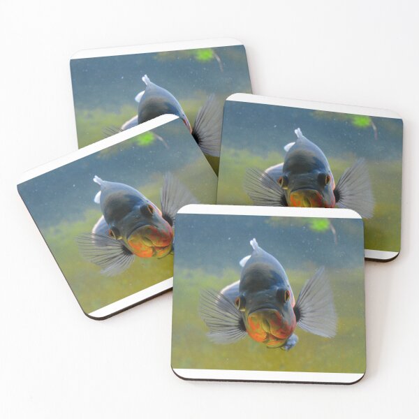 Item preview, Tiger Oscar Cichlid  designed and sold by RumRagephotos.