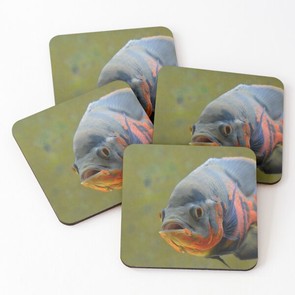 Item preview, Tiger Oscar Cichlid designed and sold by RumRagephotos.