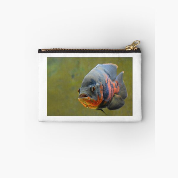 Item preview, Tiger Oscar Cichlid designed and sold by RumRagephotos.