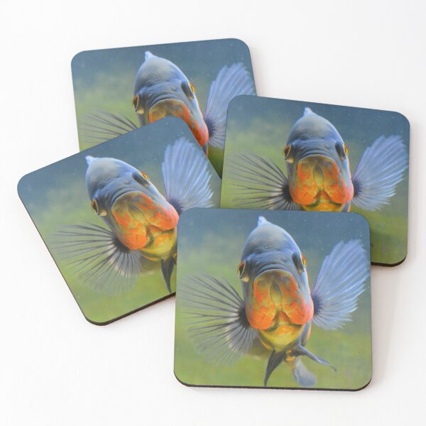 Item preview, Tiger Oscar Cichlid designed and sold by RumRagephotos.