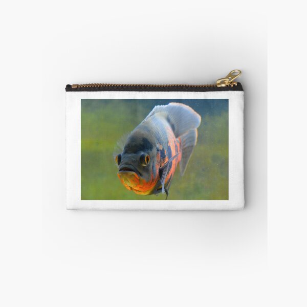 Item preview, Tiger Oscar Cichlid designed and sold by RumRagephotos.