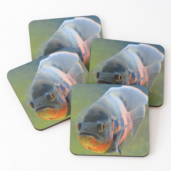 Item preview, Tiger Oscar Cichlid designed and sold by RumRagephotos.