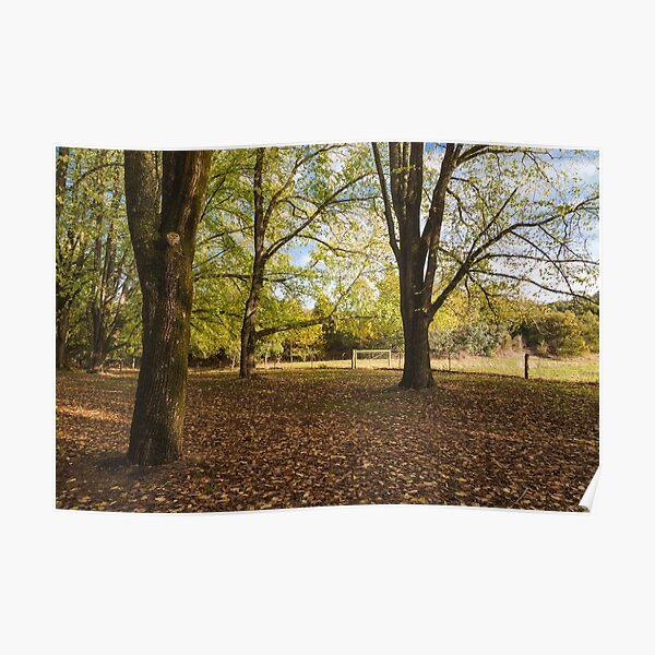 Daylesford Autumn Poster