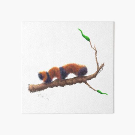 SPRING BEAR Art Board Print