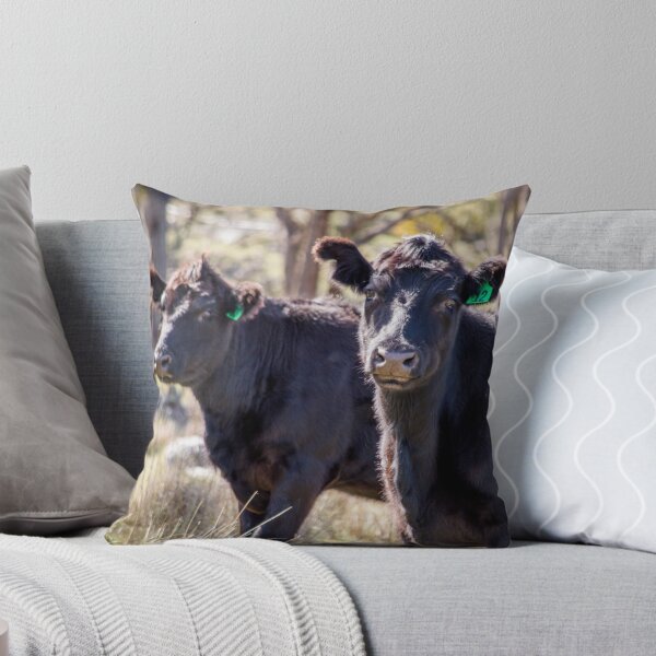 Item preview, Angus Moo designed and sold by Laura Sykes.