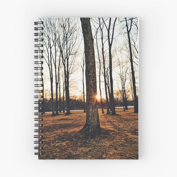 Item preview, Sunset and a Tree designed and sold by DonnaMariePhoto.
