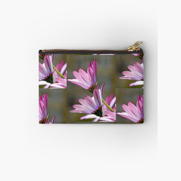 Item preview, Twin Livingstone Daisies...Garden in Dorset UK designed and sold by lynn carter.