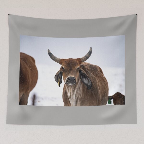 Item preview, Grumpy cow designed and sold by jacindasgarner.