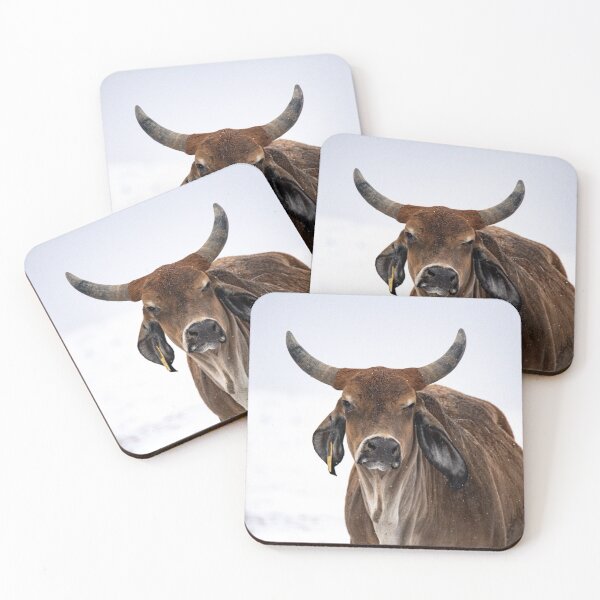 Grumpy cow Coasters (Set of 4)
