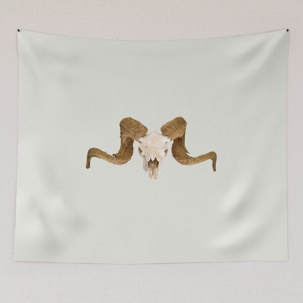 Item preview, Ram Skull Skeleton designed and sold by Terry Bain.