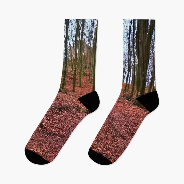 Item preview, Wildenfels castle ruins in the bare forest designed and sold by frankuffmann.