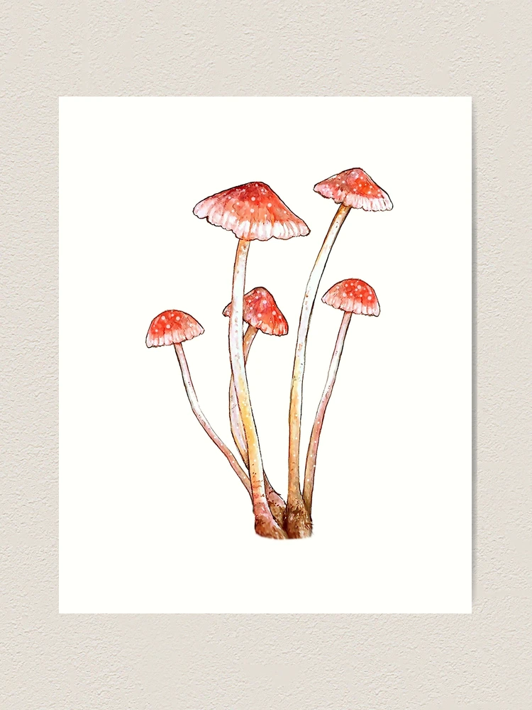 登山用品 HIGH TAIL DESIGNS Forest Mushroom Medium Enchanted Forest Glitter Mushroom Decor Assorted 2 Designs