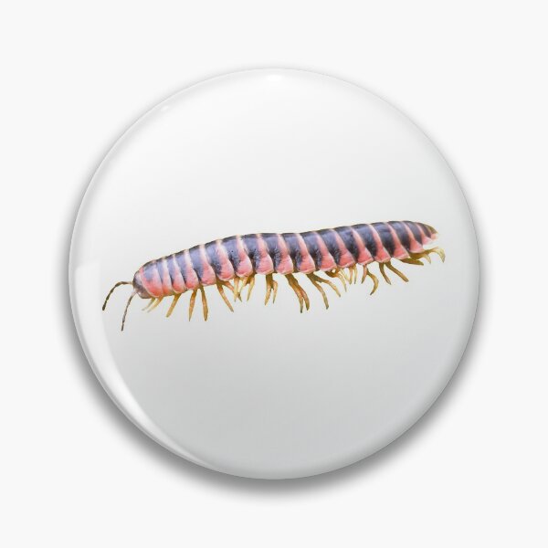 Item preview, Millipede designed and sold by armtube.