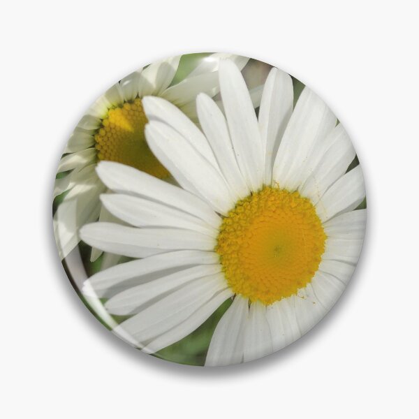 Item preview, Daisies designed and sold by Candace Mountain.