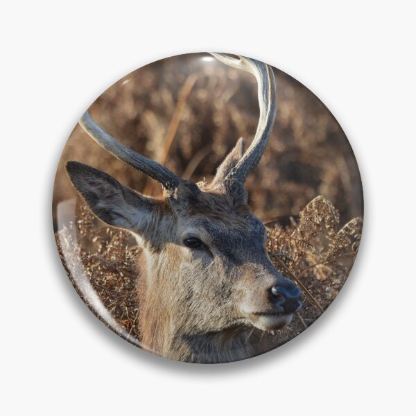 Item preview, A Deer in the bushes designed and sold by RumRagephotos.