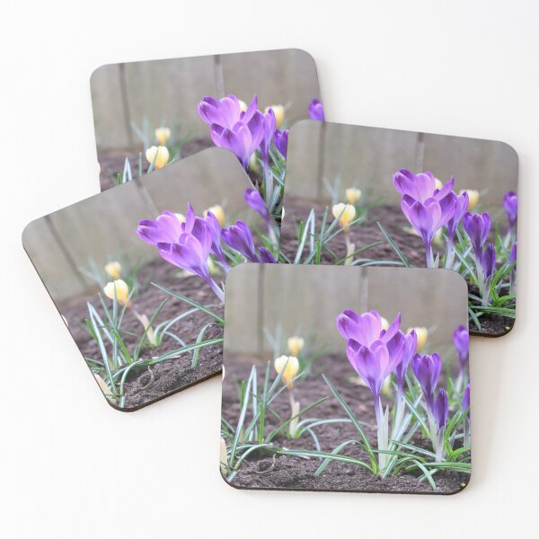 Item preview, Purple and yellow Crocus designed and sold by KimhengFineArt.