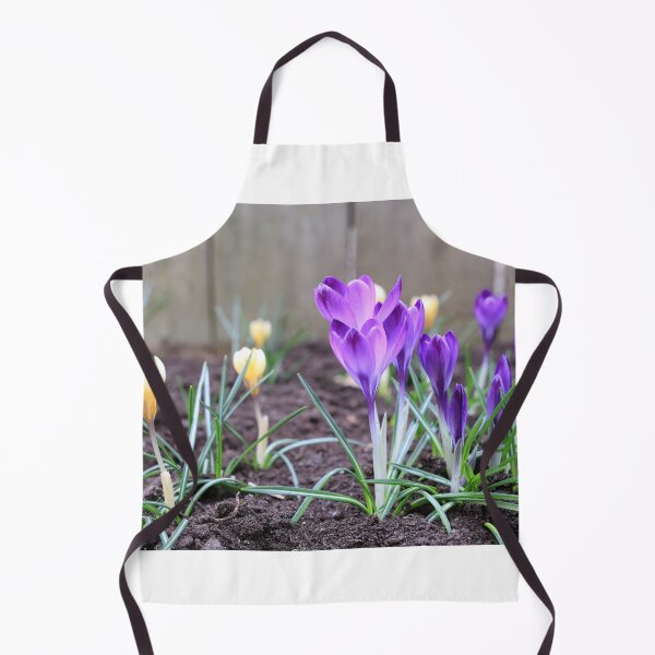 Item preview, Purple and yellow Crocus designed and sold by KimhengFineArt.