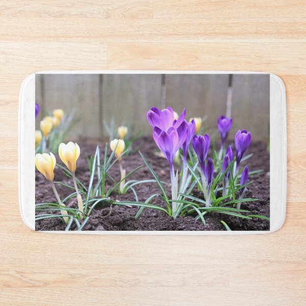 Item preview, Purple and yellow Crocus designed and sold by KimhengFineArt.