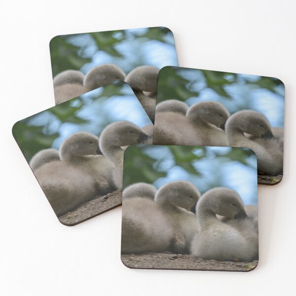 Item preview, Sleeping Cygnets designed and sold by RumRagephotos.
