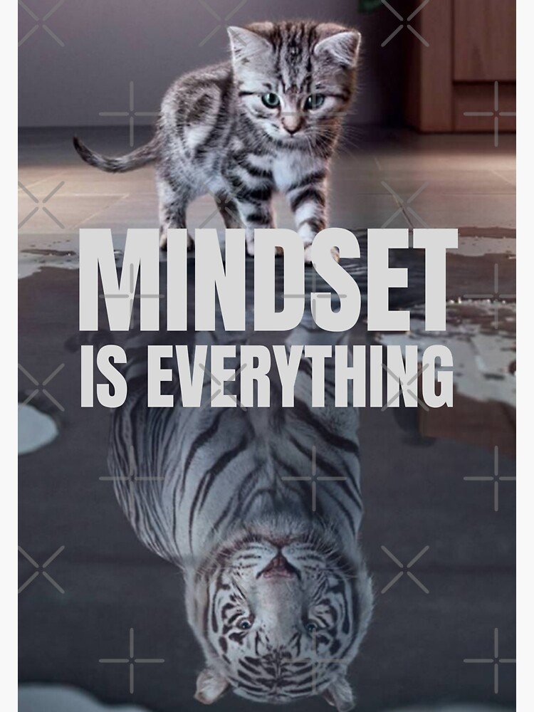 "'Mindset Is Everything' Life & Cat Motivation" Sticker for Sale by