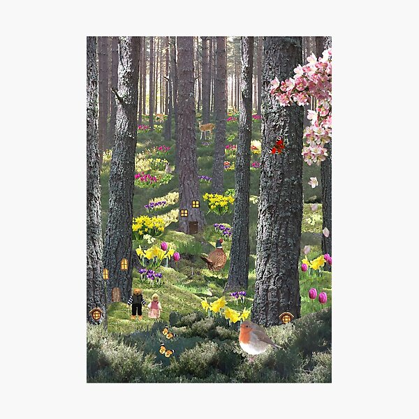 Photographic Print