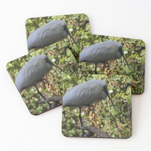 Item preview, Spoonbill in the Bush designed and sold by D-GaP.