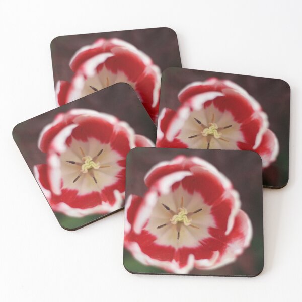 Item preview, spring tulip designed and sold by KimhengFineArt.
