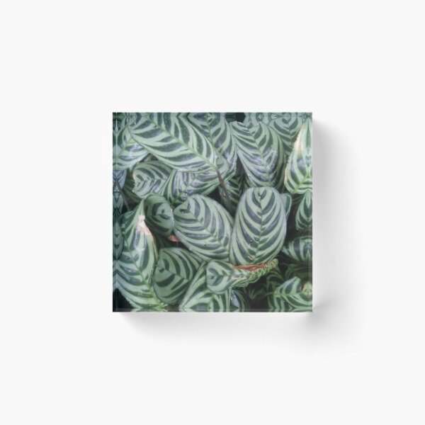 Item preview, tropical foliage designed and sold by GttP.