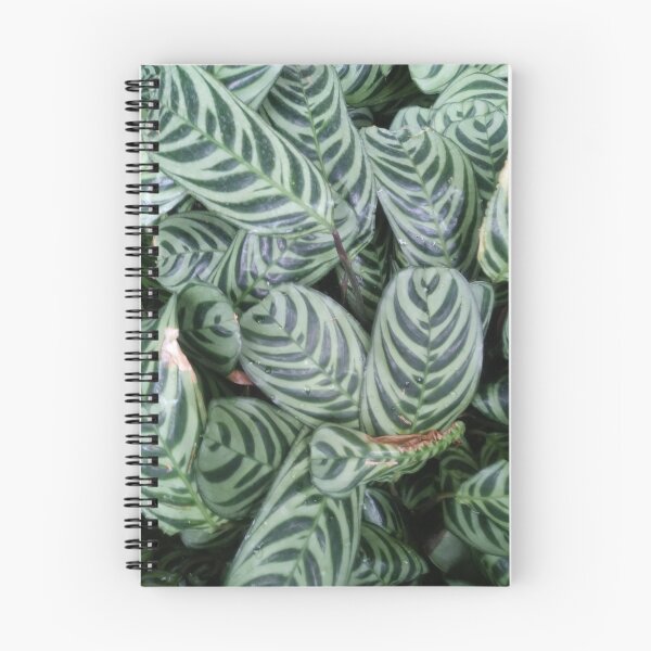 Item preview, tropical foliage designed and sold by GttP.