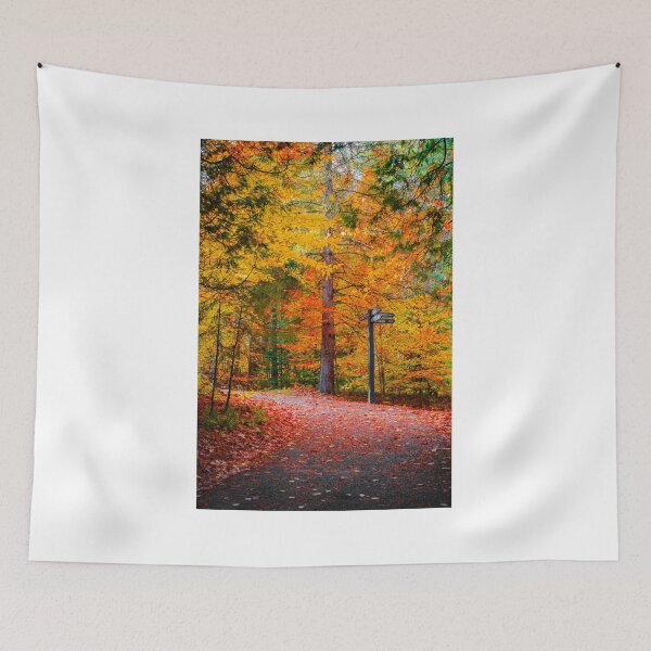 Item preview, The colours of fall designed and sold by SH3RW1N.