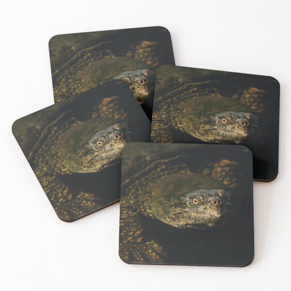 Item preview, Snapping turtle designed and sold by photobypj.