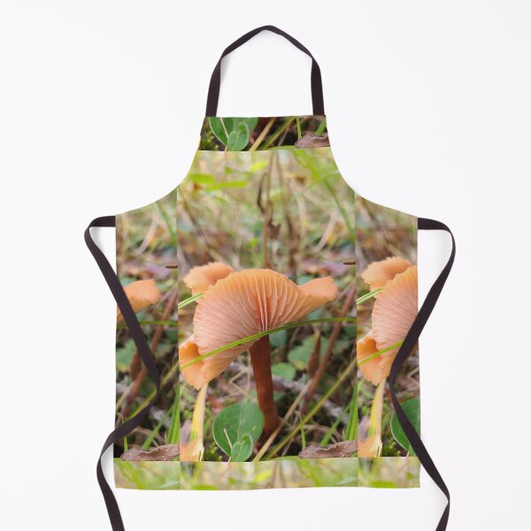 Artikelvorschau, Pilz im Wald entworfen und verkauft von Totallyalive.
