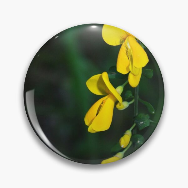 Artikelvorschau, Gelbe Blume. Wunderlich Park, San Francisco Bay Area 2010 entworfen und verkauft von Igor Pozdnyakov.