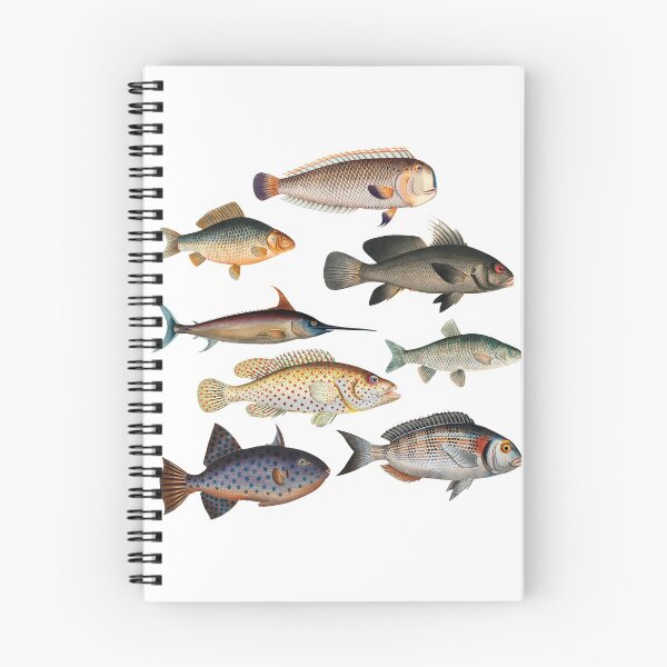 Item preview, Colorful Fish Illustration v2 designed and sold by SowCow.