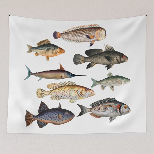 Item preview, Colorful Fish Illustration v2 designed and sold by SowCow.