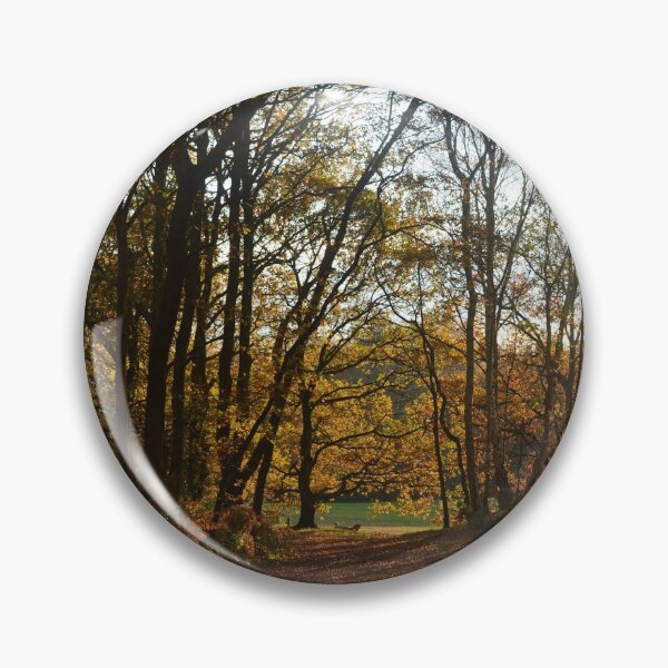 Item preview, Autumn in the park designed and sold by RumRagephotos.