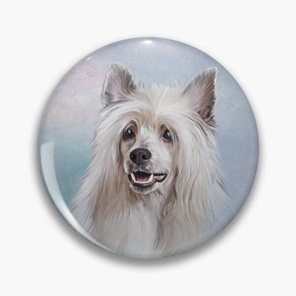 Item preview, Drawing Chinese crested dog designed and sold by bonidog.