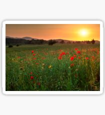 Poppy fields, Worcestershire Sticker