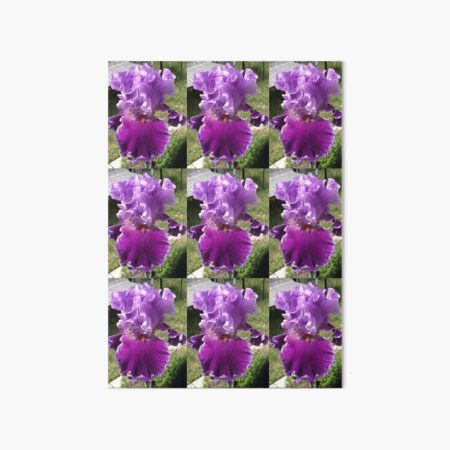 Iris Louisa’s Song Art Board Print