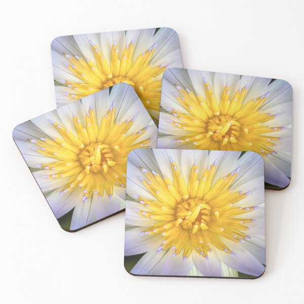 Item preview, Water Lily  designed and sold by David ST Loh Images.