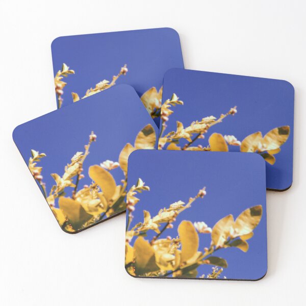Item preview, Spring designed and sold by Hcneyny.
