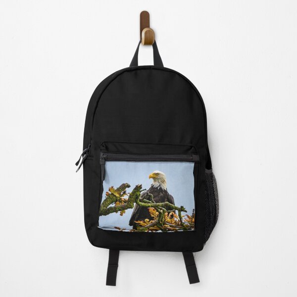 Item preview, Majestic bald-headed eagle in South Delta, B.C. designed and sold by David ST Loh Images.