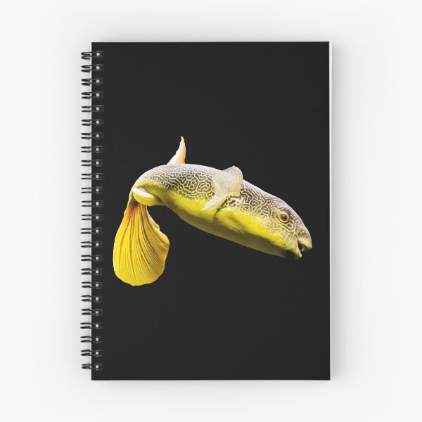 Item preview, Giant Freshwater Puffer Fish (Tetraodon mbu) designed and sold by CR Media.