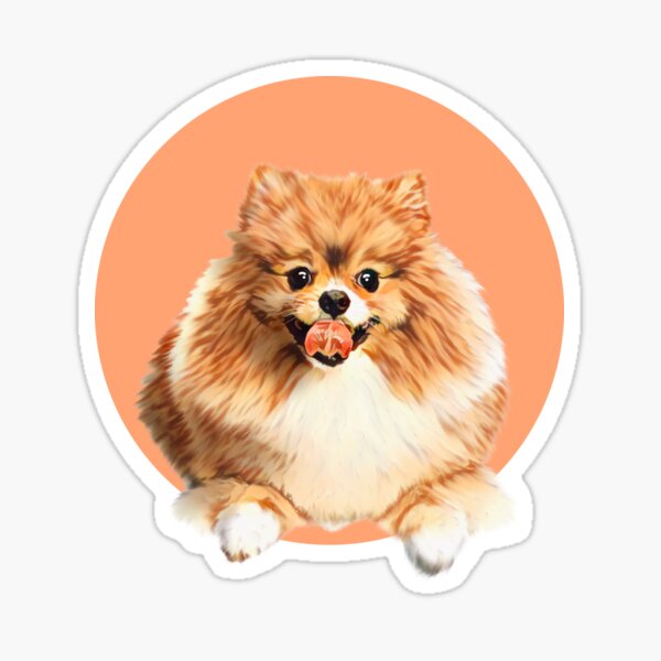 Cute Pomeranian dog on peach background graphic art Sticker