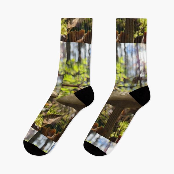 Item preview, Seta en el bosque designed and sold by Totallyalive.