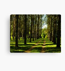 Popular Plantation Canvas Print
