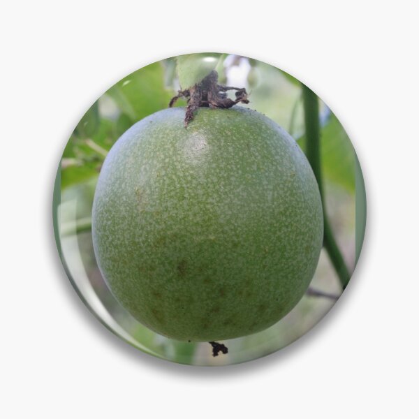 Item preview, An Unripe Passionfruit designed and sold by STHogan.