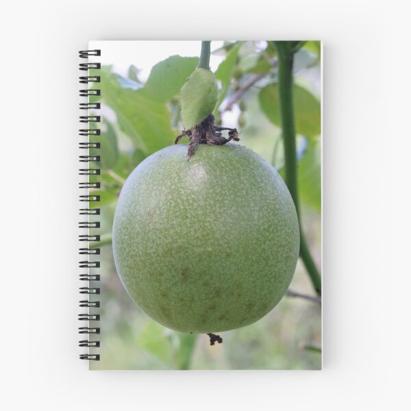 Item preview, An Unripe Passionfruit designed and sold by STHogan.