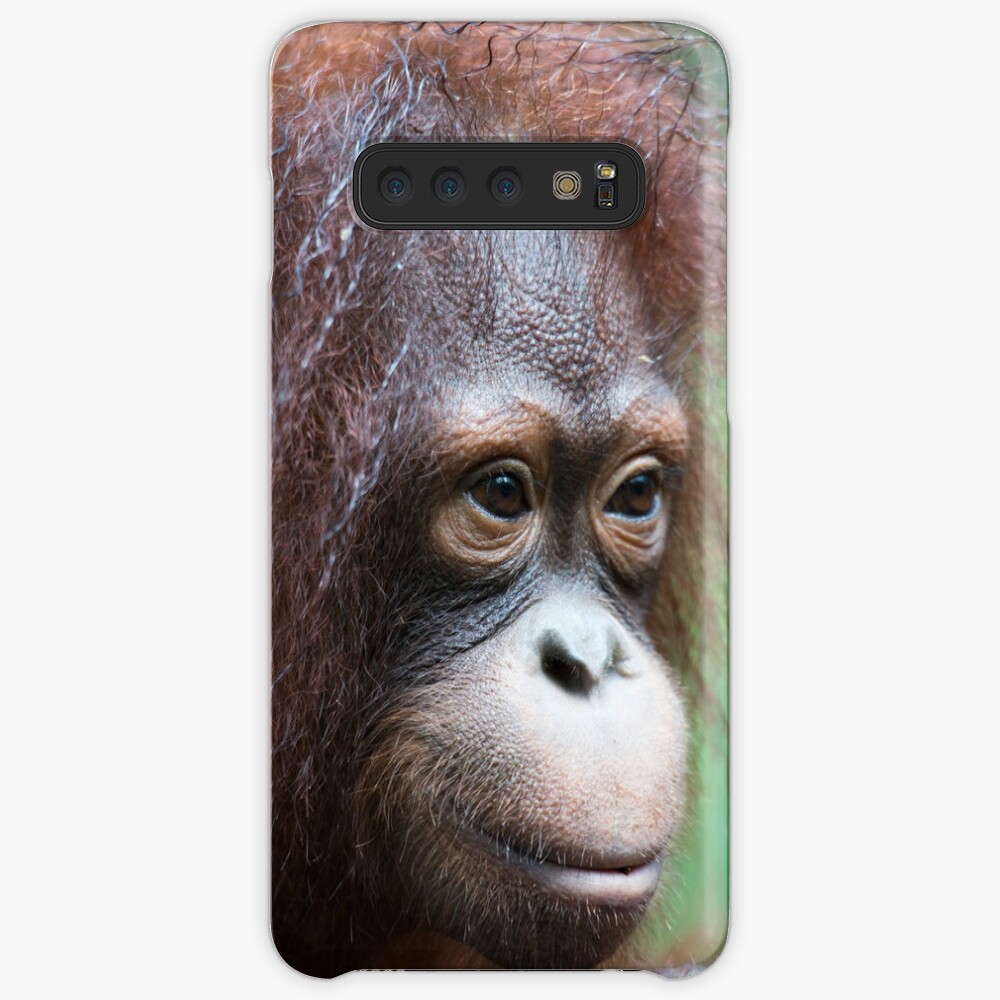 Orangutan in Borneo Case & Skin for Samsung Galaxy