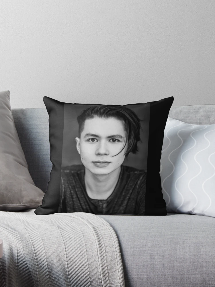 Drew 2025 barrymore pillows